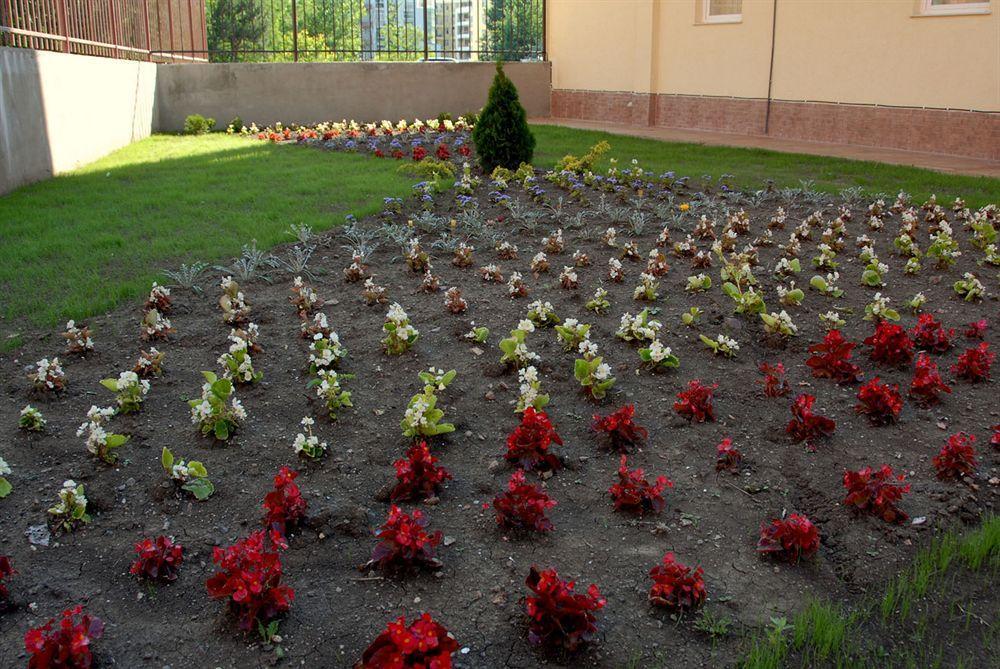 סאני ביץ' Sunflower Complex מראה חיצוני תמונה